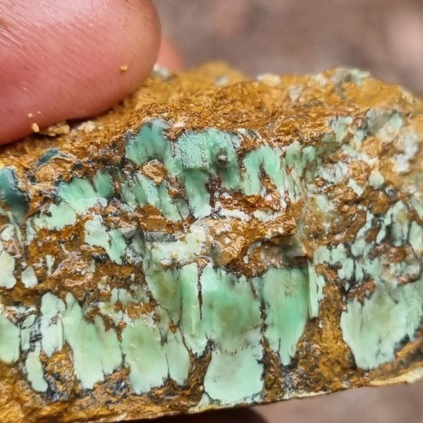 Variscite rough. VR474