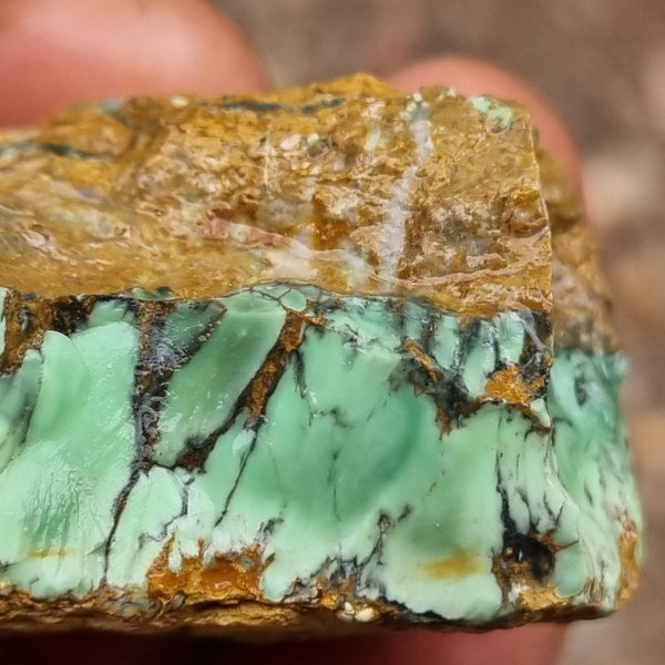 Variscite rough. VR474