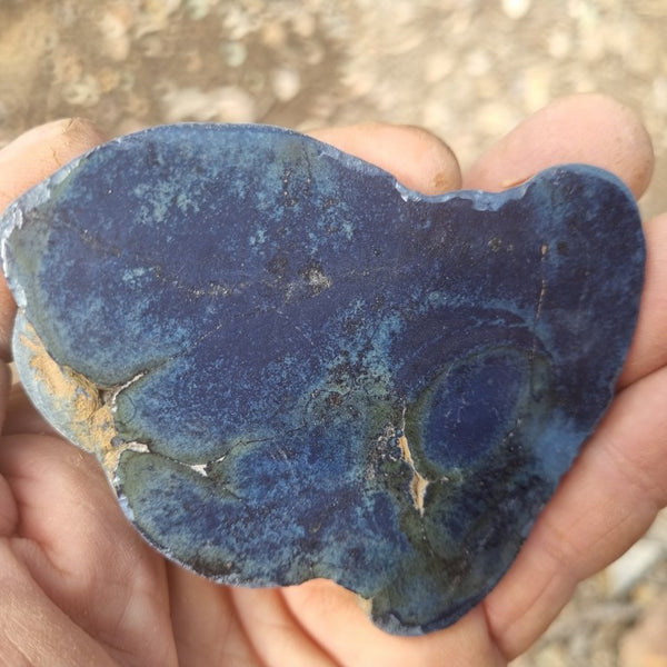 Polished Vivianite nodule half VV109