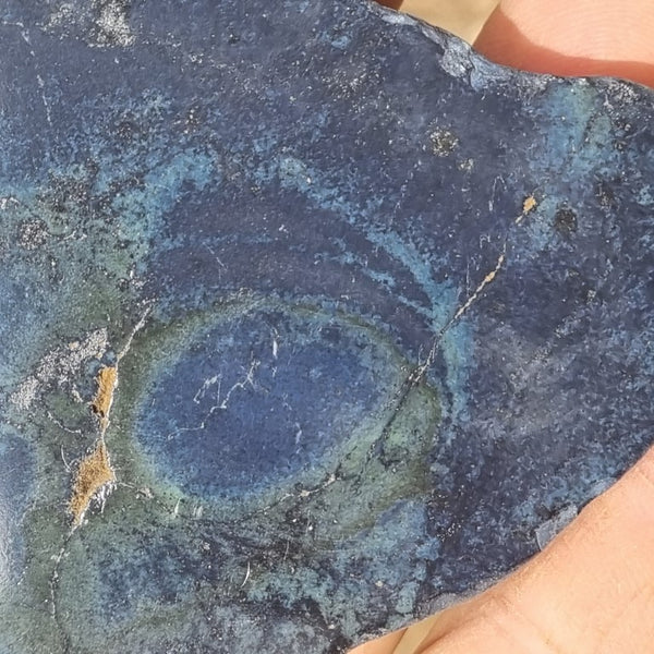 Polished Vivianite nodule half VV109