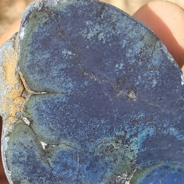 Polished Vivianite nodule half VV109