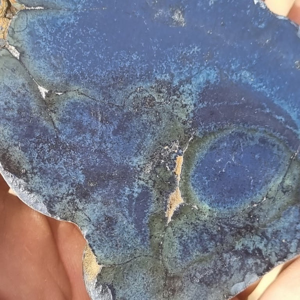 Polished Vivianite nodule half VV109