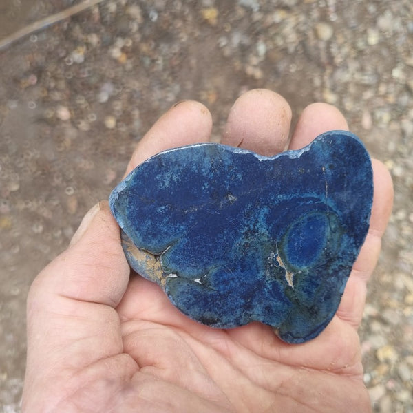 Polished Vivianite nodule half VV109