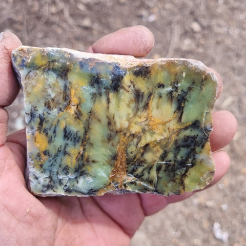 Polished Dendritic Opal slab DO173