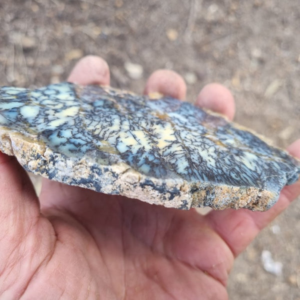 Polished Dendritic Opal slab DO175