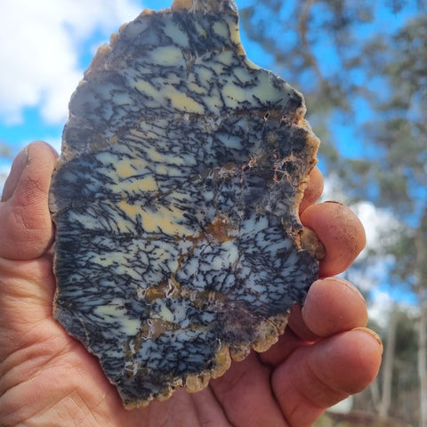 Polished Dendritic Opal slab DO175