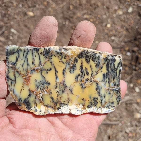 Polished Dendritic Opal slab DO174