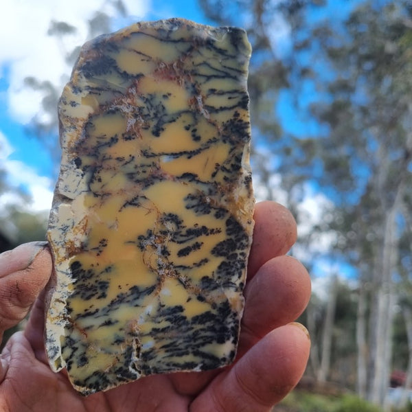 Polished Dendritic Opal slab DO174