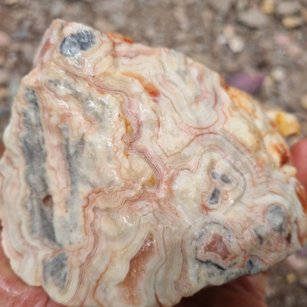 Crazy Lace Agate rough.  CLR 101