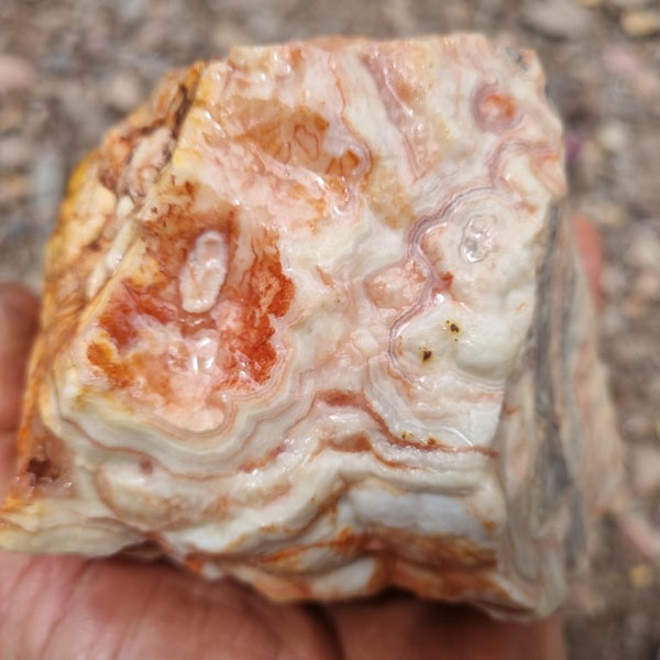 Crazy Lace Agate rough.  CLR 101