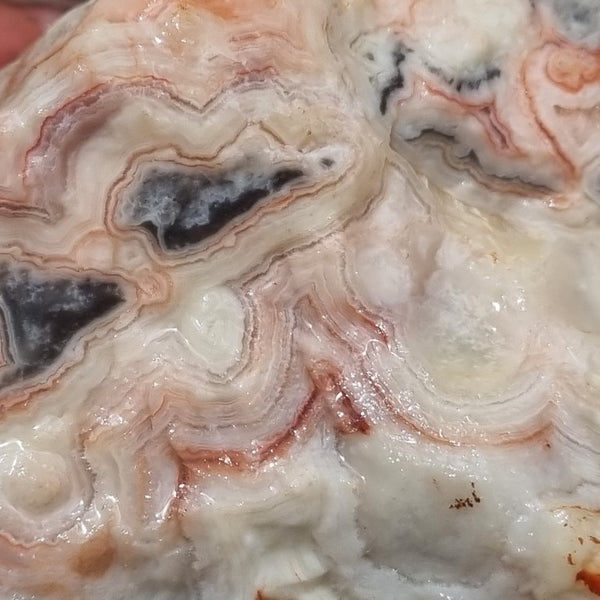 Crazy Lace Agate rough.  CLR 101