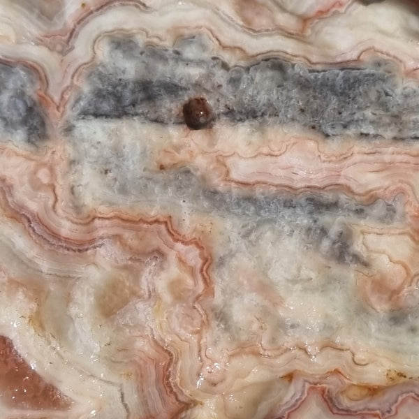 Crazy Lace Agate rough.  CLR 101