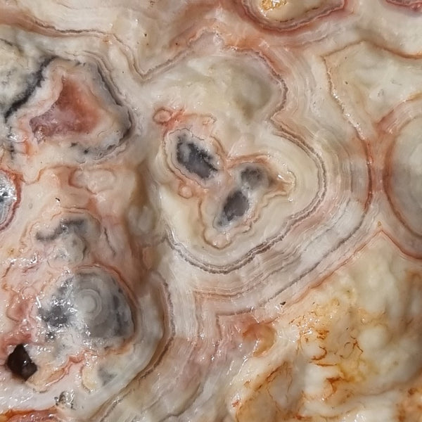 Crazy Lace Agate rough.  CLR 101