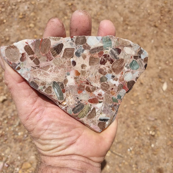 Polished Marillana Conglomerate slab MC105