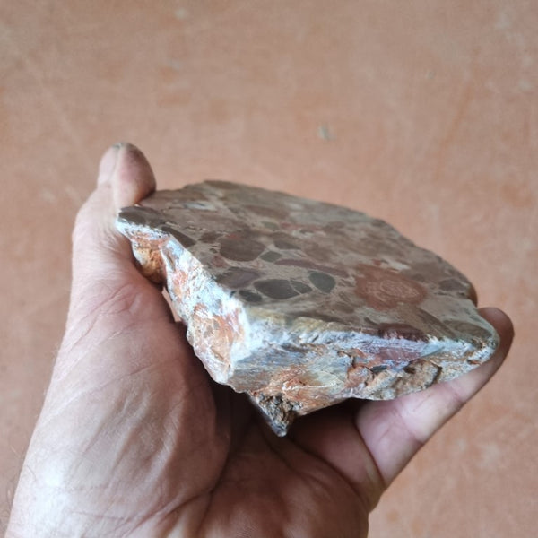 Polished Marillana Conglomerate MC106