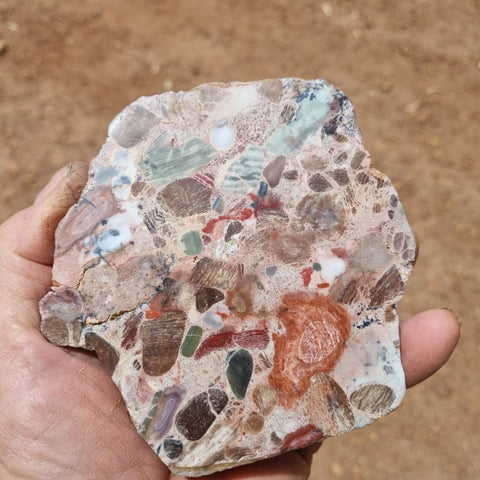 Polished Marillana Conglomerate MC106