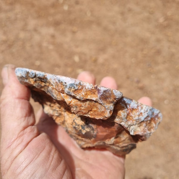 Polished Marillana Conglomerate MC106