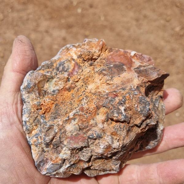 Polished Marillana Conglomerate MC106