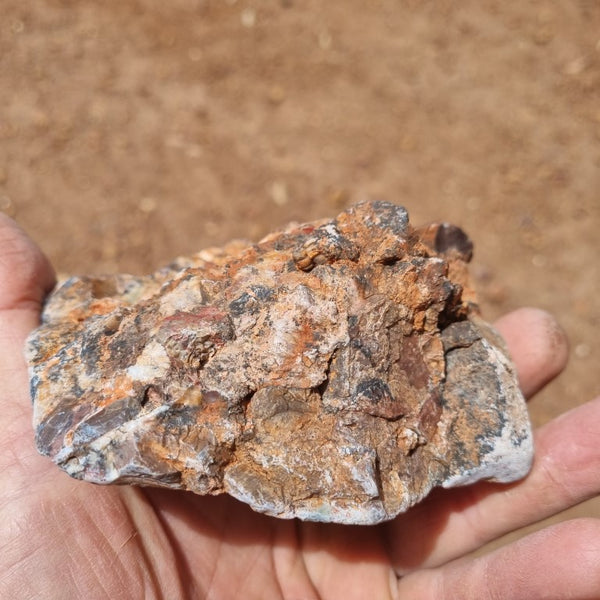 Polished Marillana Conglomerate MC106