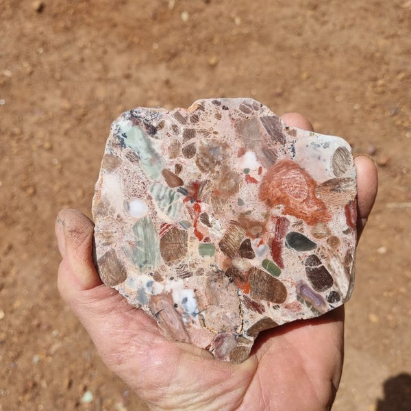 Polished Marillana Conglomerate MC106