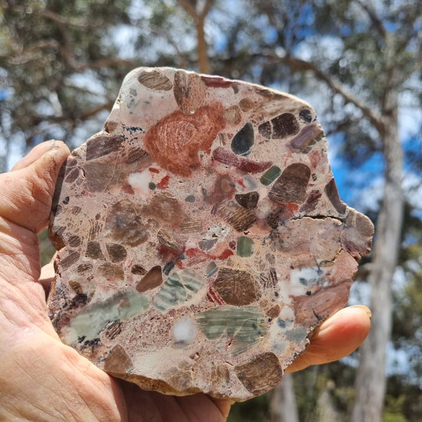 Polished Marillana Conglomerate MC106