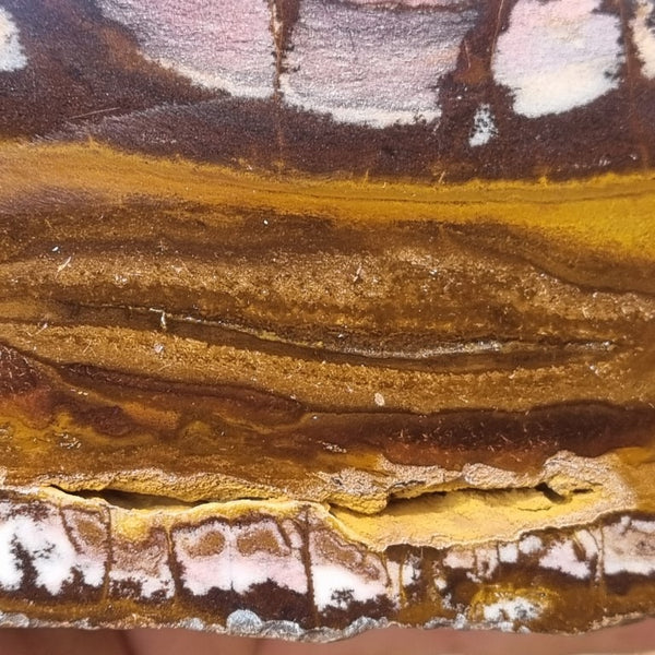 Polished Outback Jasper  OJ161