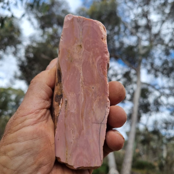 Polished Pink Opal  POP162