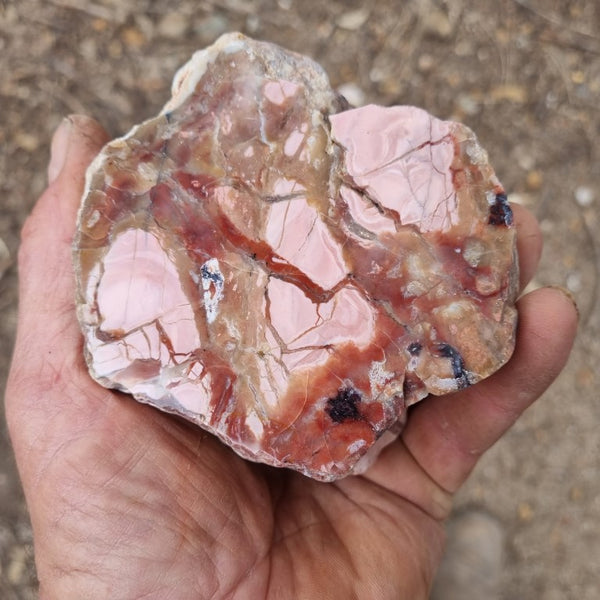 Polished Pink Opal  POP160