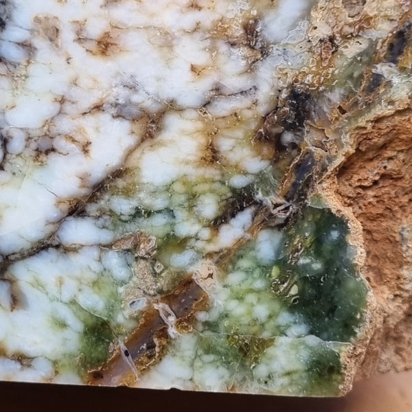 Polished Green Opal display specimen GRN81