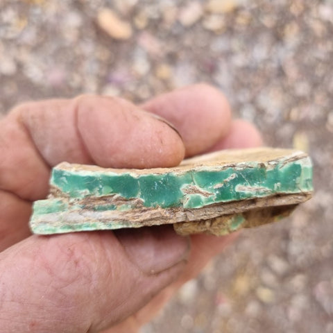 Variscite rough. VR485