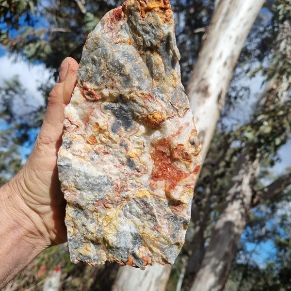 Crazy Lace Agate rough.  CLR 105