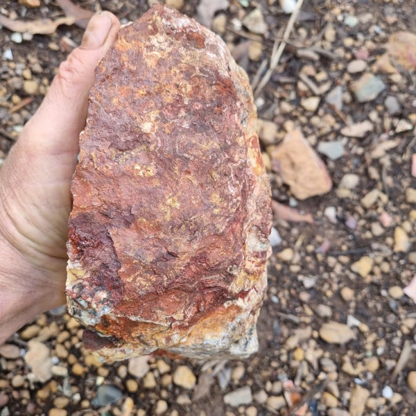 Crazy Lace Agate rough.  CLR 105