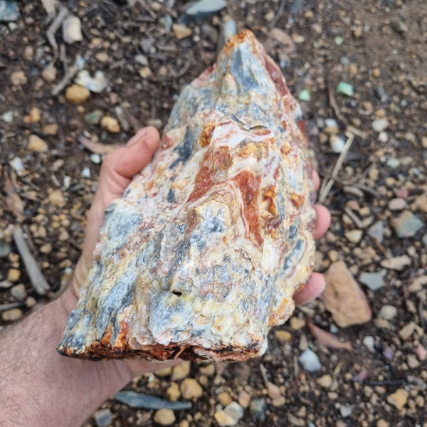 Crazy Lace Agate rough.  CLR 105