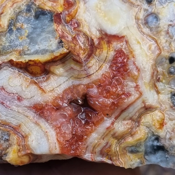 Crazy Lace Agate rough.  CLR 105