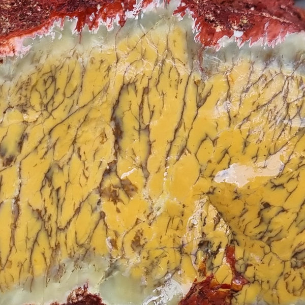 Dendritic Opal  rough.  DOR 194