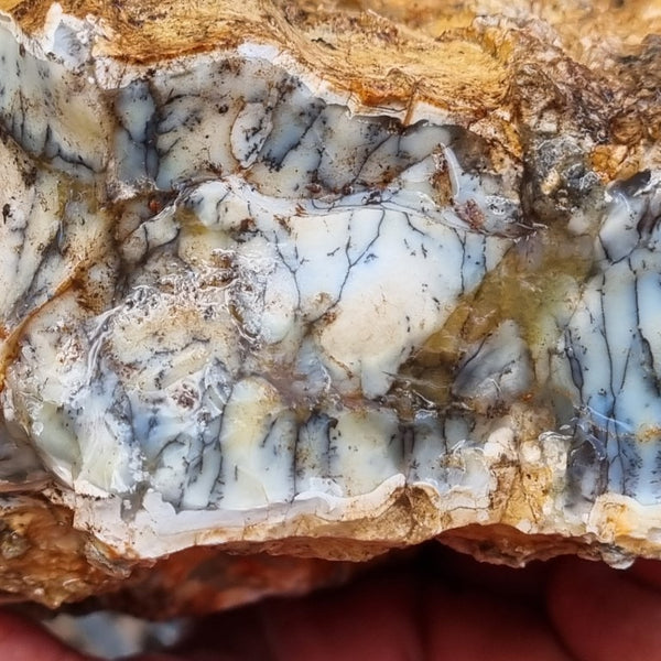 Dendritic Opal  rough.  DOR 193