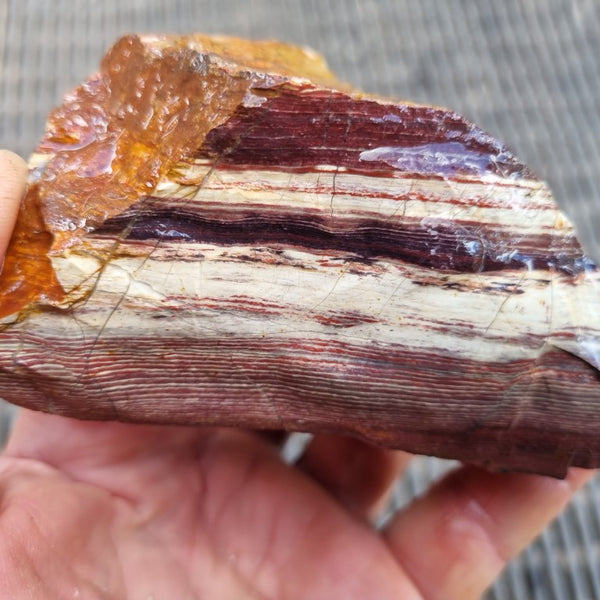 Snakeskin Jasper rough.  SSR 143