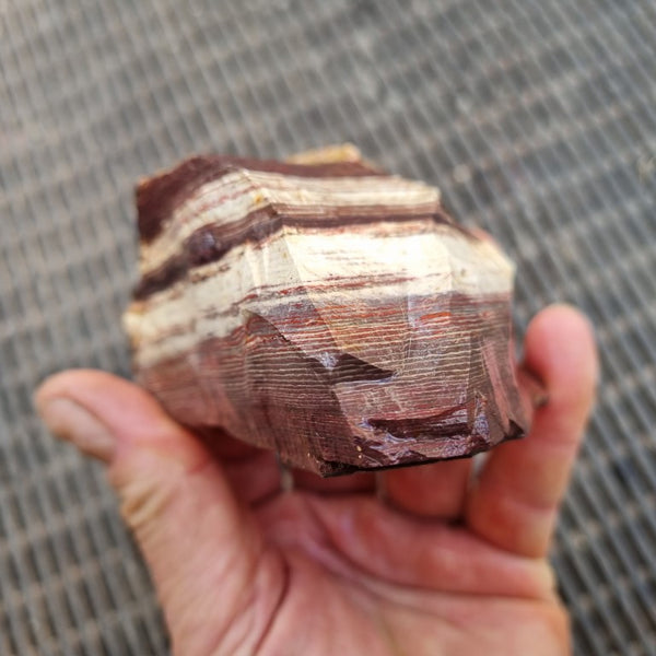 Snakeskin Jasper rough.  SSR 143