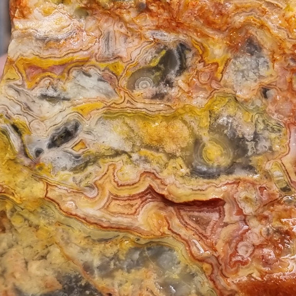 Crazy Lace Agate rough.  CLR 106