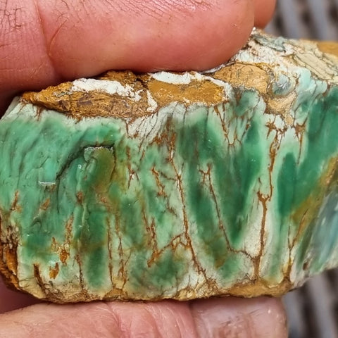 Variscite rough. VR492