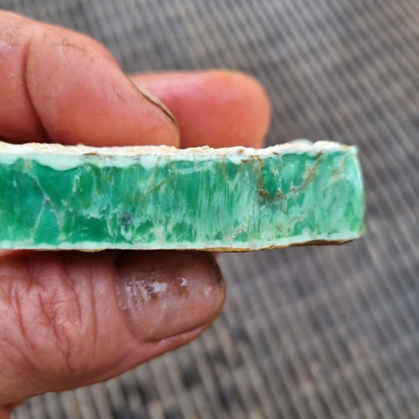 Variscite rough. VR489