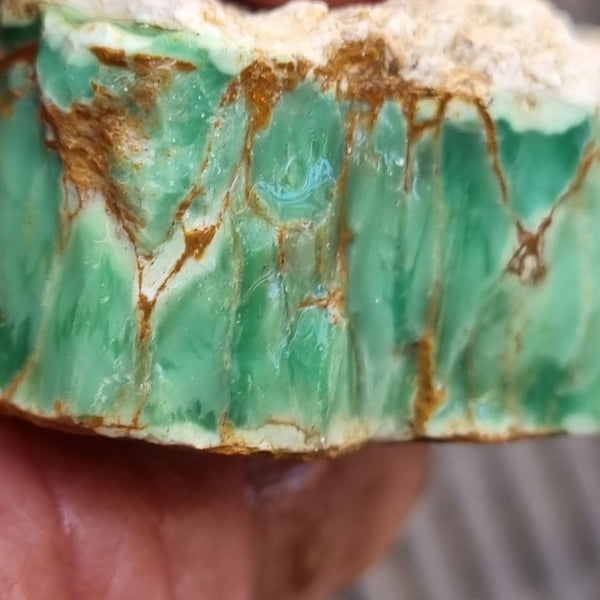 Variscite rough. VR489