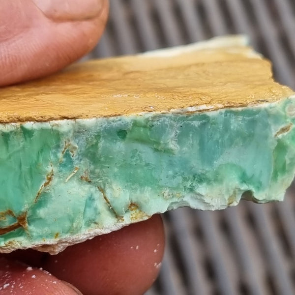 Variscite rough. VR489