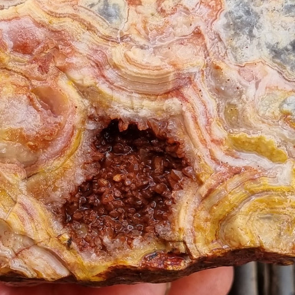 Crazy Lace Agate rough.  CLR 107