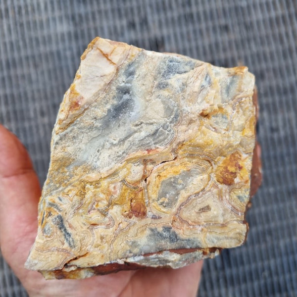 Crazy Lace Agate rough.  CLR 109