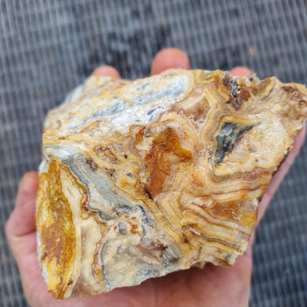 Crazy Lace Agate rough.  CLR 109