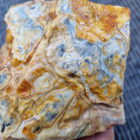 Crazy Lace Agate rough.  CLR 109