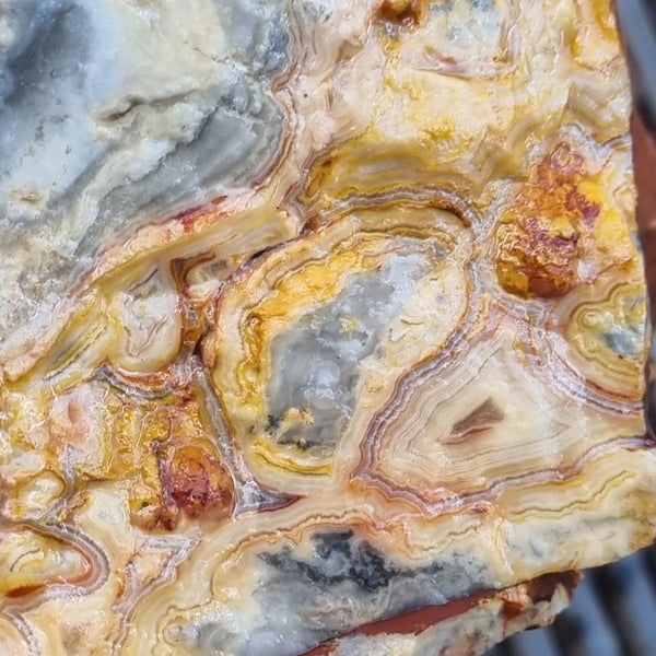 Crazy Lace Agate rough.  CLR 109