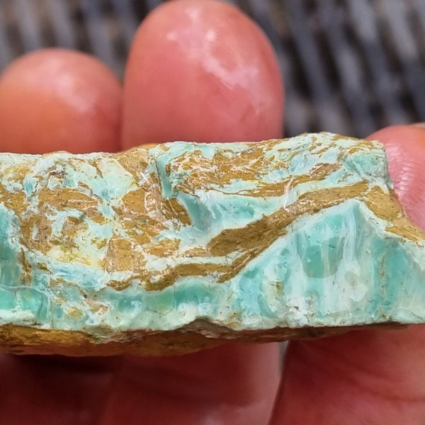 Variscite rough. VR493