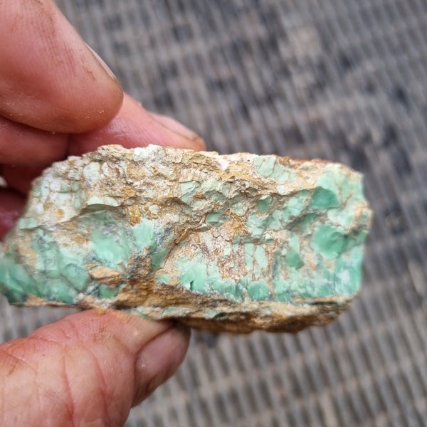 Variscite rough. VR495